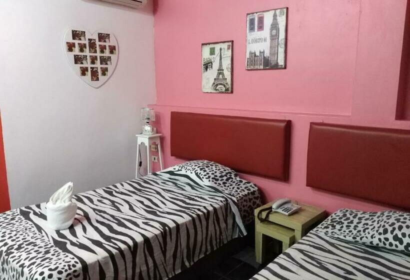 اتاق استاندارد, Stylus