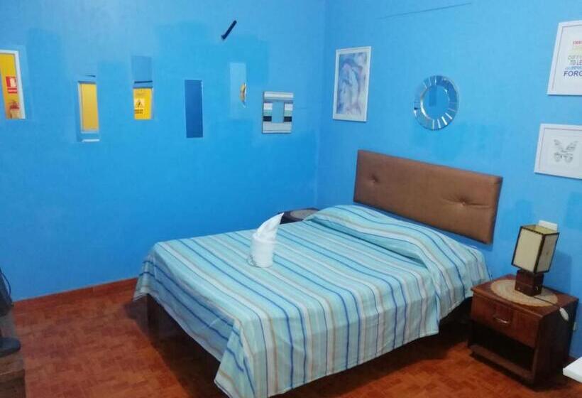 اتاق استاندارد یک نفره, Stylus