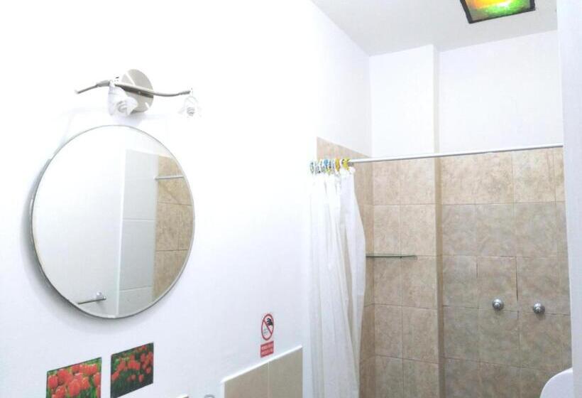 اتاق استاندارد یک نفره, Stylus