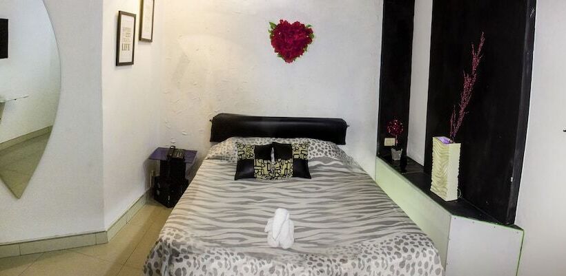 اتاق استاندارد یک نفره, Stylus