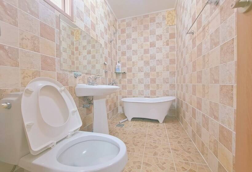 Apartament Dúplex 1 Dormitori, Gillime Pension