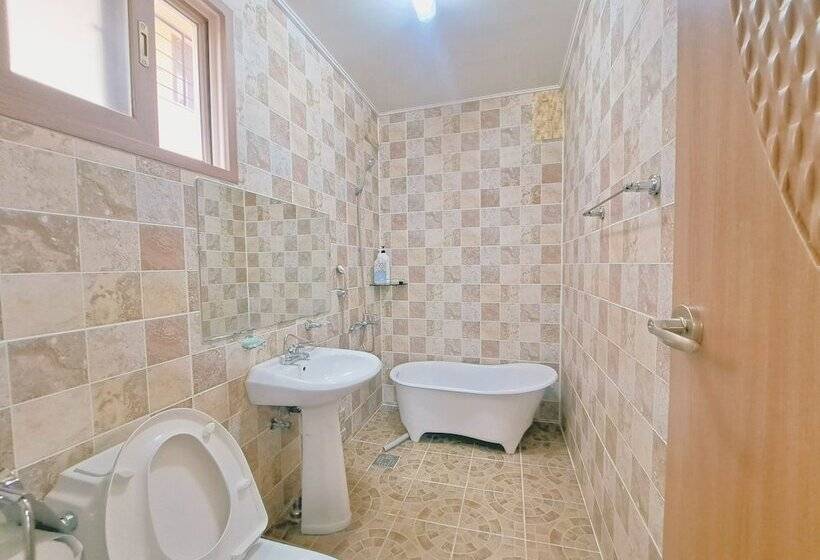 Apartament Dúplex 1 Dormitori, Gillime Pension