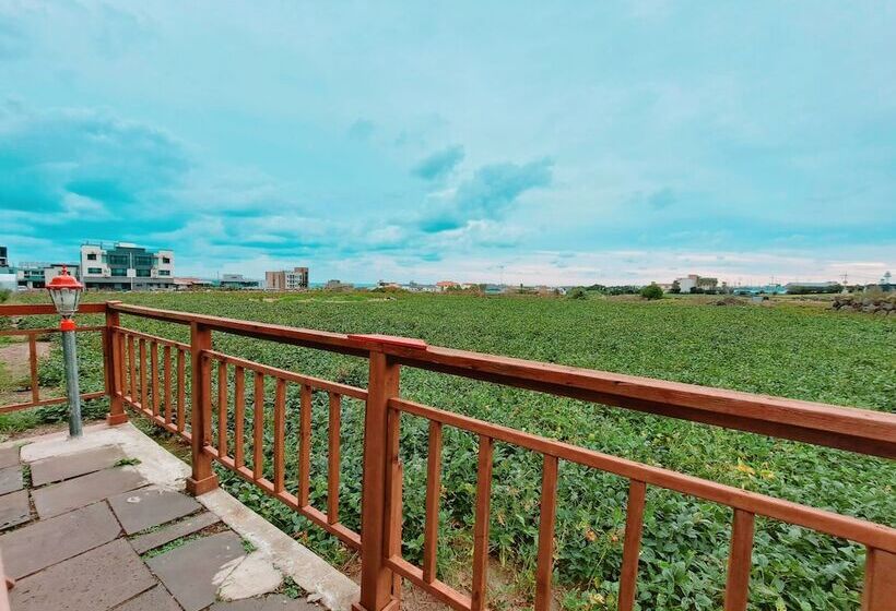 Apartament Dúplex 1 Dormitori, Gillime Pension