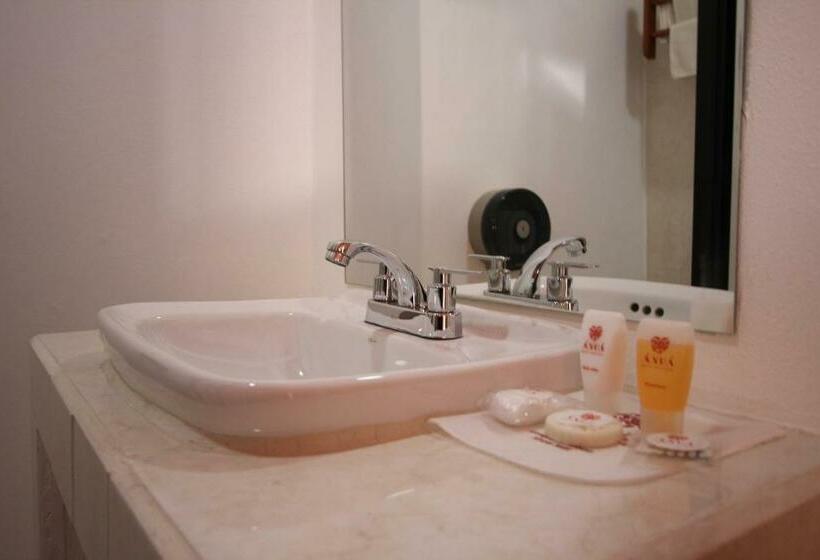 غرفة قياسية سرير مزدوج, Anua Oaxaca