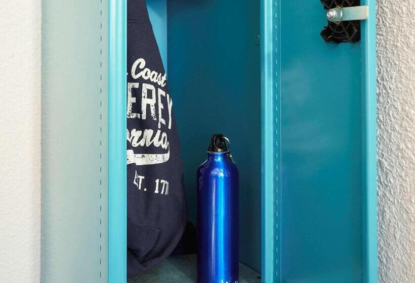 Номер Стандарт, F1 Villeneuve Loubet