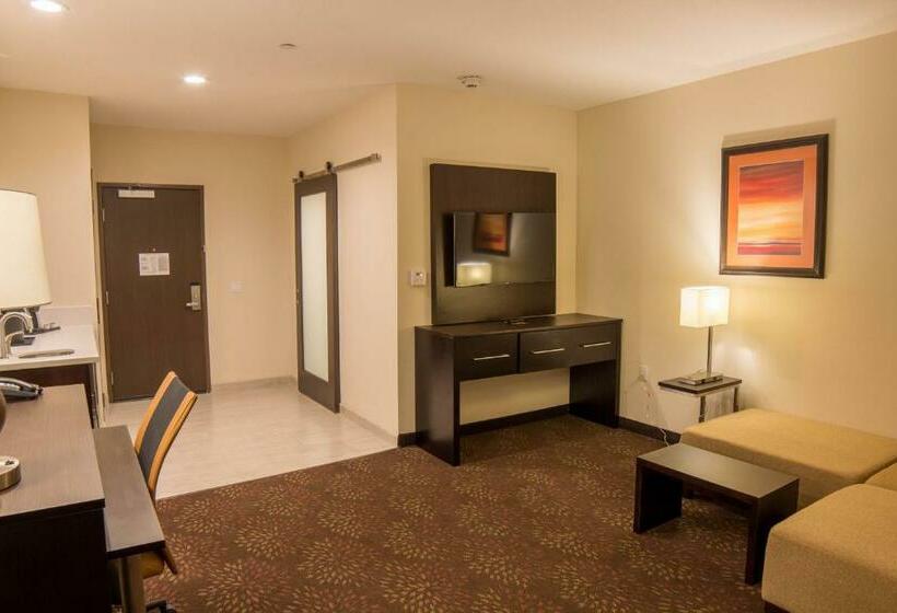 스위트 킹사이즈 침대, Holiday Inn Trophy Club, An Ihg