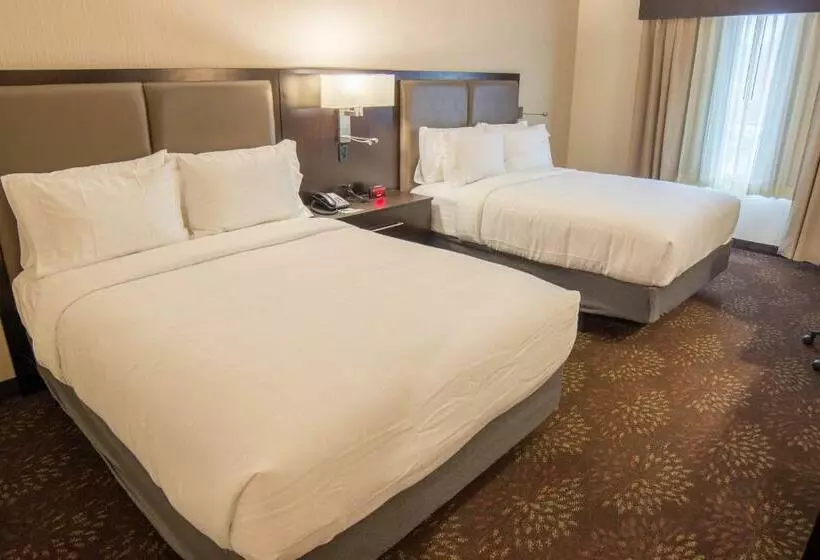 スタンダードルーム, Holiday Inn Trophy Club, An Ihg