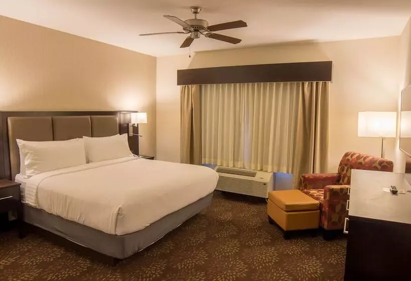 スイート, Holiday Inn Trophy Club, An Ihg
