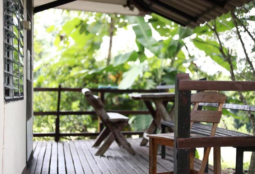 스탠다드 방갈로 정원 전망, Pai Happyvillage_yeon