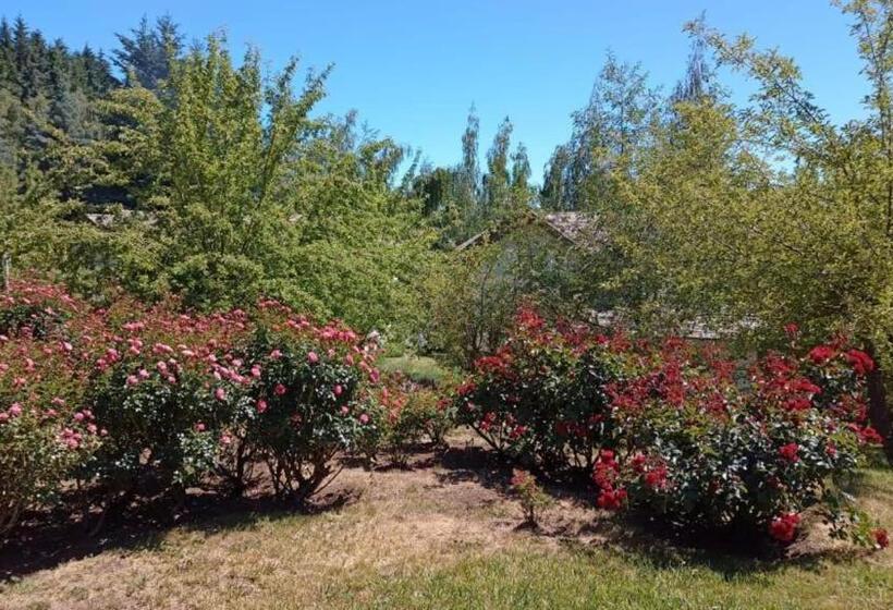 Aile Odası, Rupu Pehuen