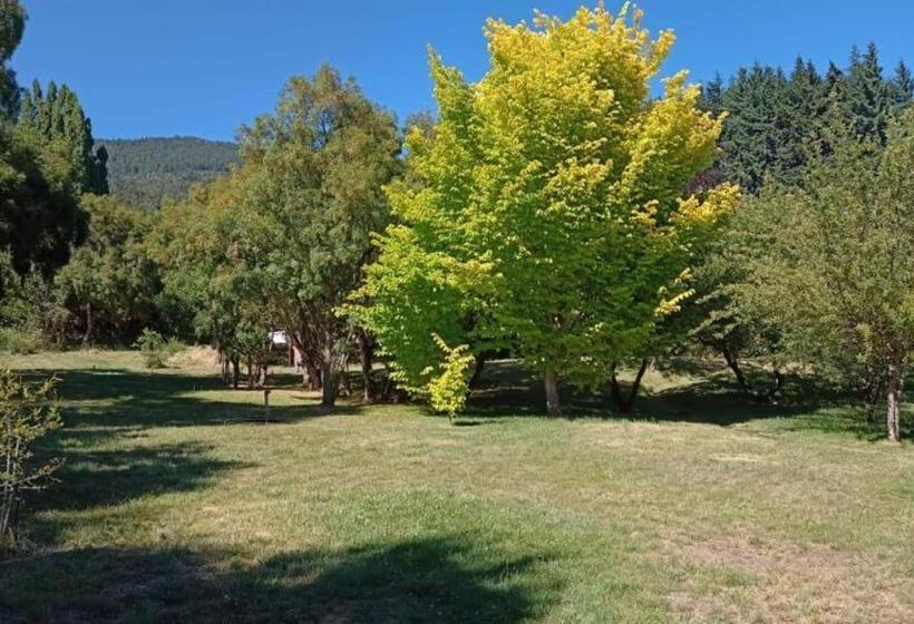 Aile Odası, Rupu Pehuen