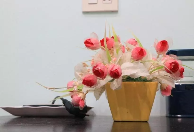 Economy-huone, Quoc Dinh Guesthouse