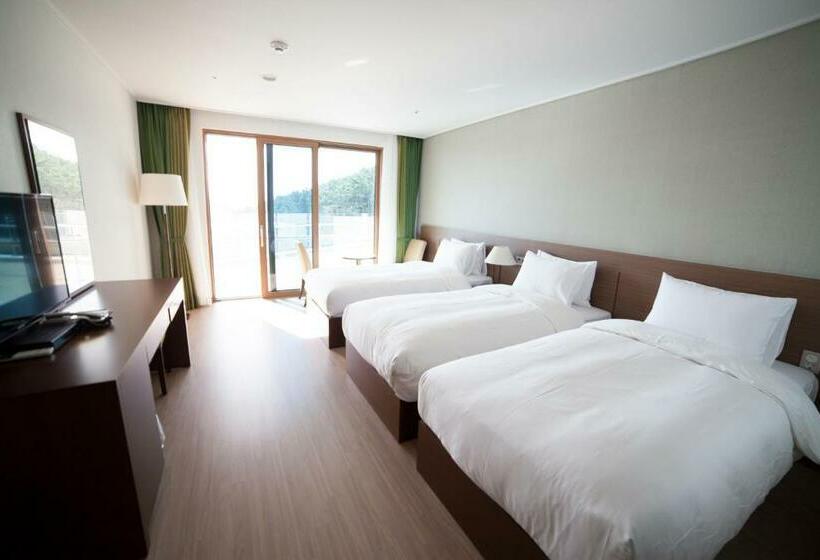 غرفة ديلوكس ثلاثية, Dongwon Youthhostel