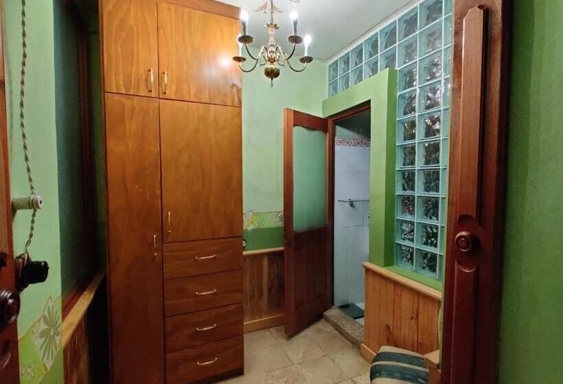 سوییت اجرایی, Azcami Boutique