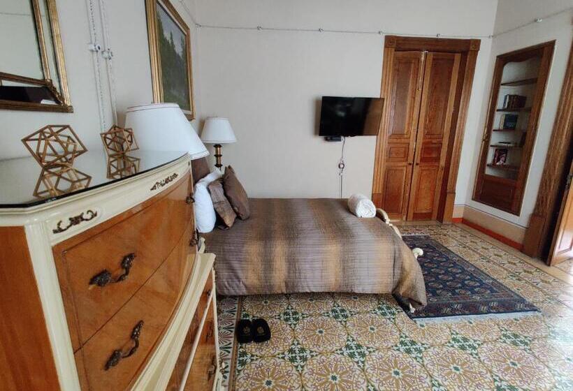 سوییت جونیور, Azcami Boutique