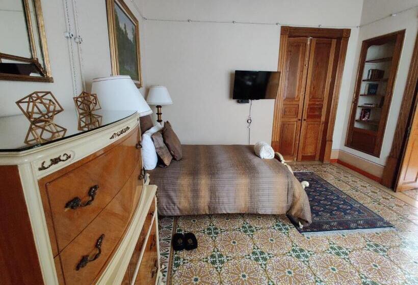 سوییت جونیور, Azcami Boutique