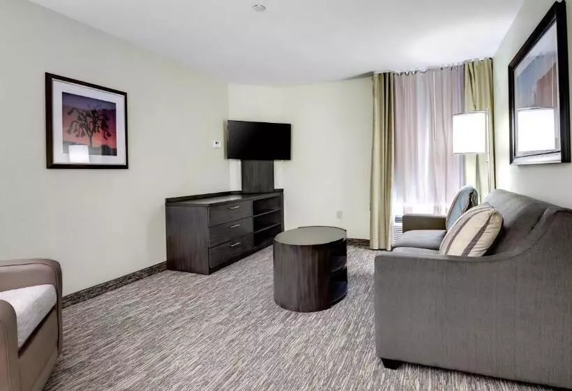 身障者適用キングサイズベッドルーム, Candlewood Suites Waco, An Ihg