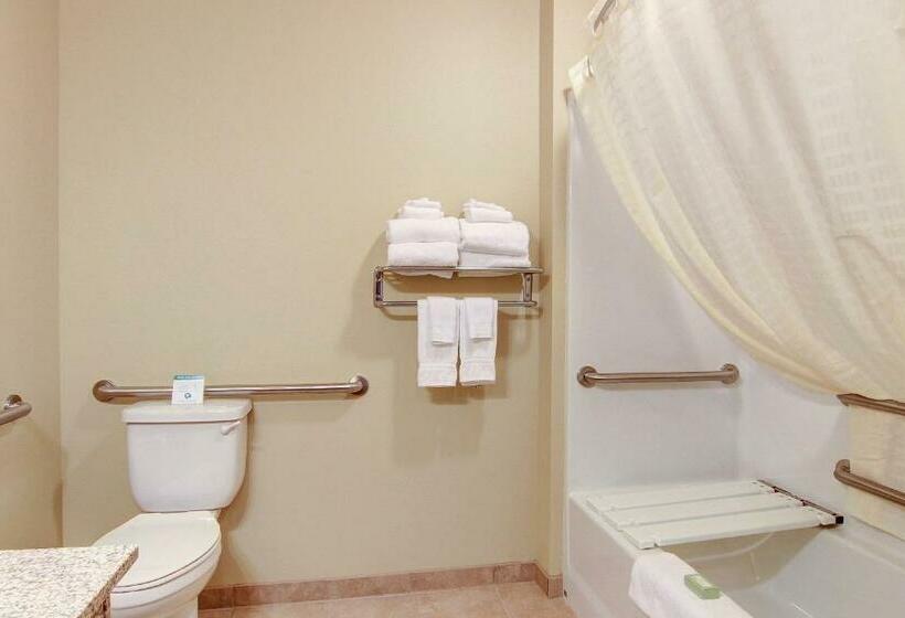 إستوديو قياسى, Cobblestone Inn & Suites  Steele
