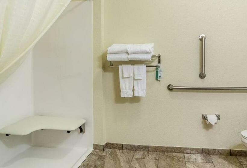 غرفة قياسية سرير كينج لذوى الإحتياجات الخاصة, Cobblestone Inn & Suites  Steele