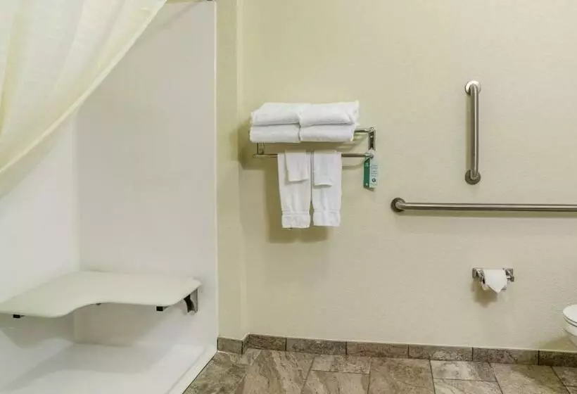Standard-invahuone King-vuode, Cobblestone Inn & Suites Steele