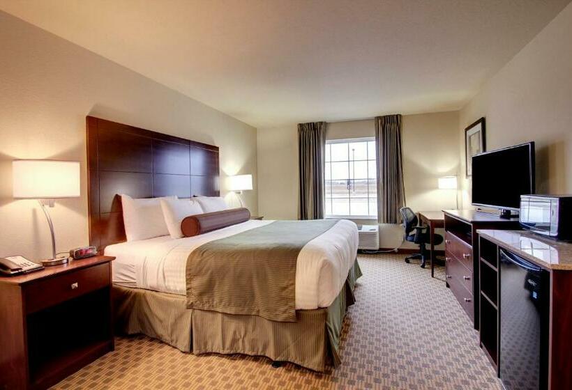 장애인을 위한 킹사이즈 침대 스탠다드 룸, Cobblestone Inn & Suites  Steele