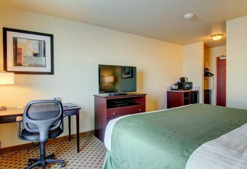 غرفة ديلوكس سرير كينج, Cobblestone Inn & Suites  Steele