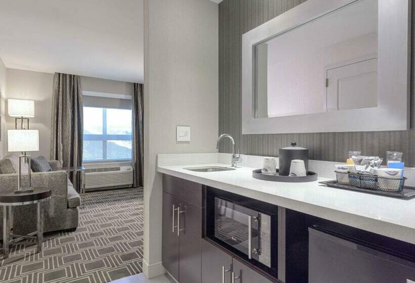 带大床的复式套间, Hampton Inn & Suites Worcester