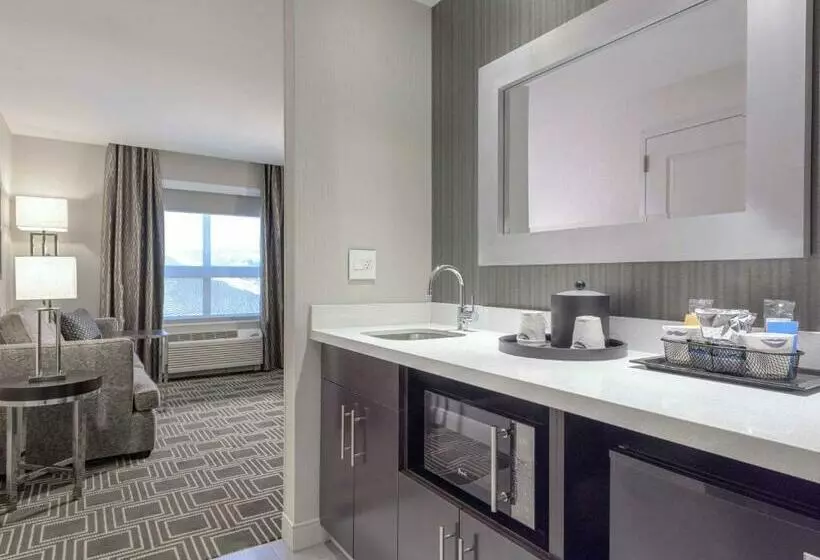 キングサイズベッドのデラックススイート, Hampton Inn & Suites Worcester