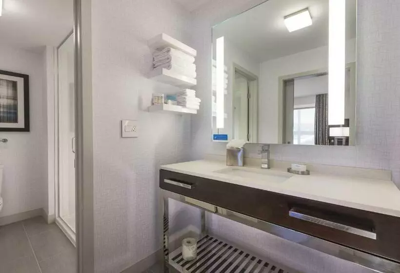 キングサイズベッドのデラックススイート, Hampton Inn & Suites Worcester