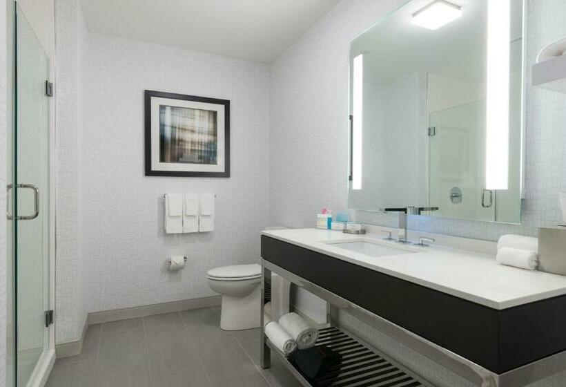 带大床的复式套间, Hampton Inn & Suites Worcester