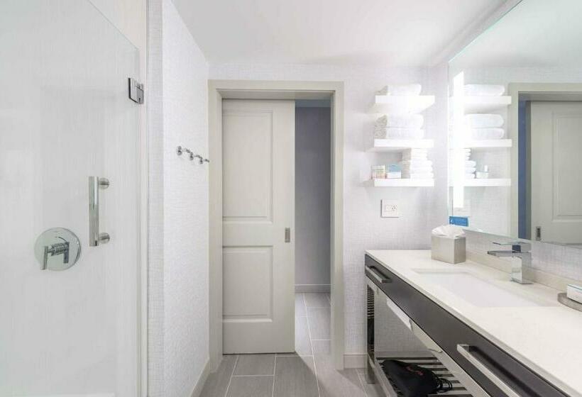 带大床的标准间, Hampton Inn & Suites Worcester