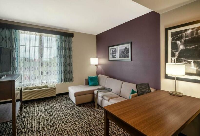 带大床的行政房间, La Quinta By Wyndham Chattanooga Lookout Mtn