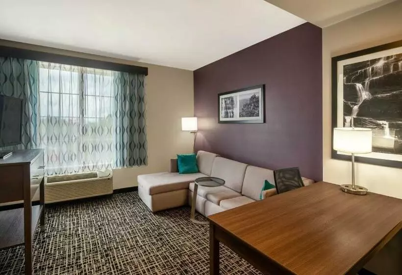キングサイズベッドのエクゼクティブルーム, La Quinta By Wyndham Chattanooga   Lookout Mtn