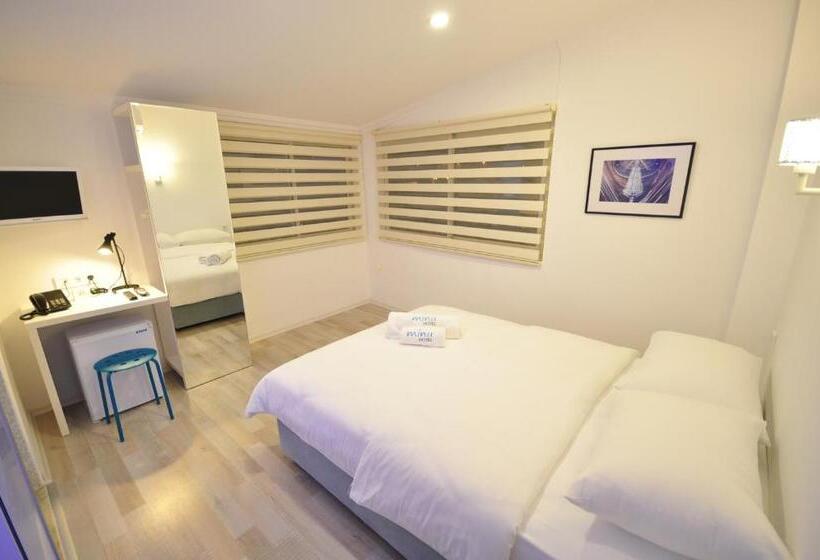 غرفة قياسية, Minu