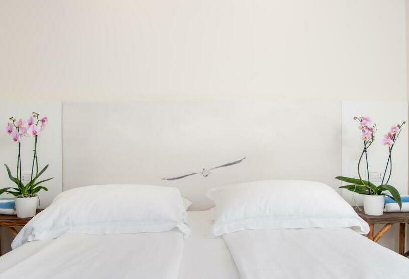 スタンダードルーム, Mediterraneo