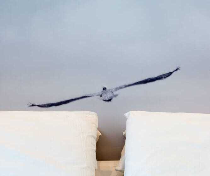 スタンダードルーム, Mediterraneo