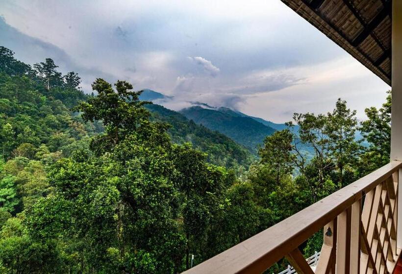 Chambre Triple Supérieure, Tea Harvester