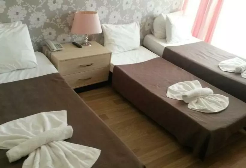 اتاق کلاسیک سه تخته, Winecity
