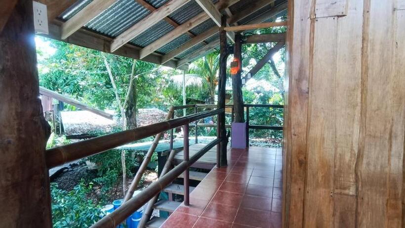 Quarto Quadruplo Estandar Banheiro Compartilhado, Flutterby House Hostel