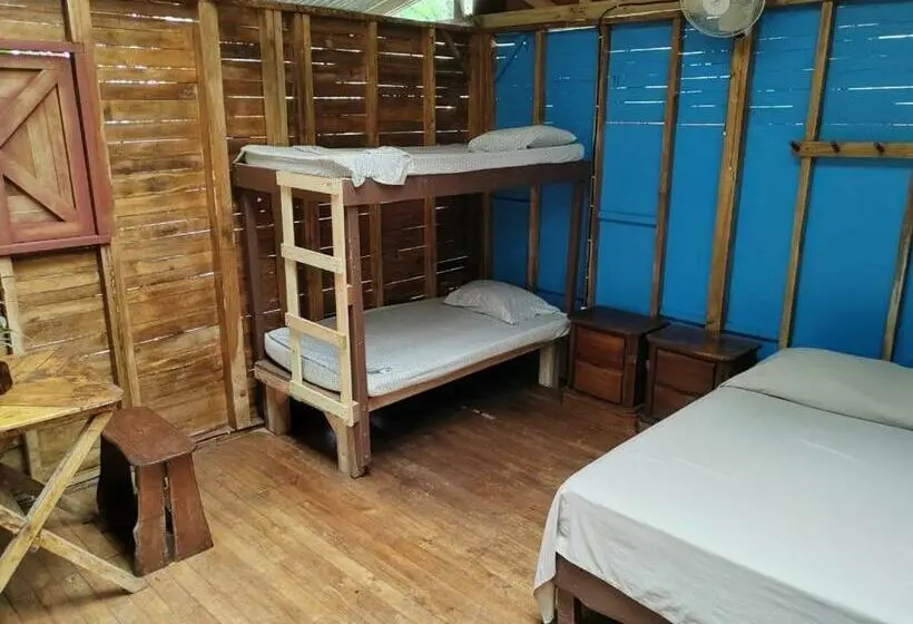 اتاق چهار تخته با دستشویی مشترک, Flutterby House Hostel