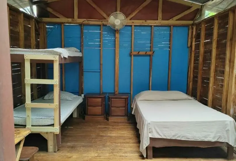 اتاق چهار تخته با دستشویی مشترک, Flutterby House Hostel