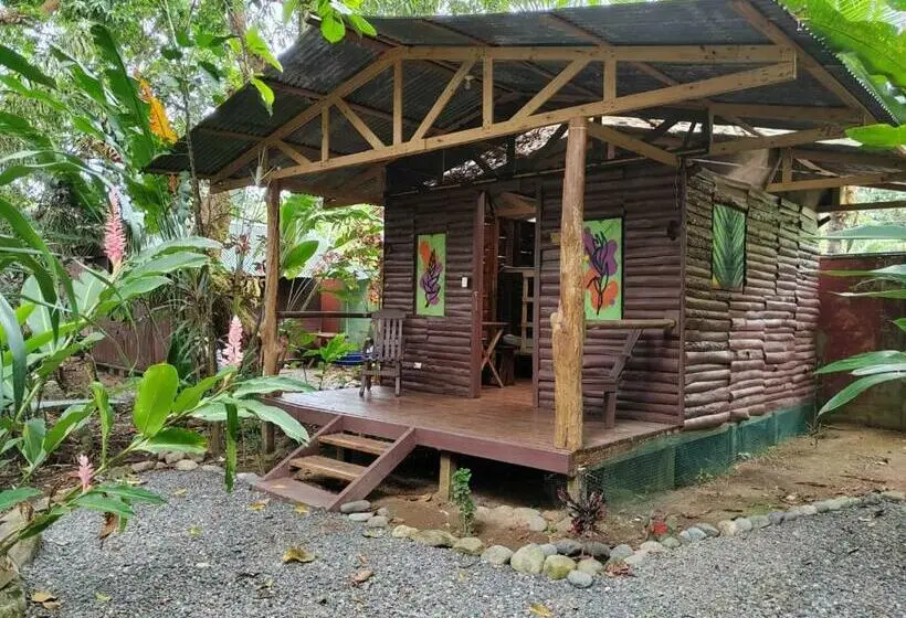 اتاق چهار تخته با دستشویی مشترک, Flutterby House Hostel
