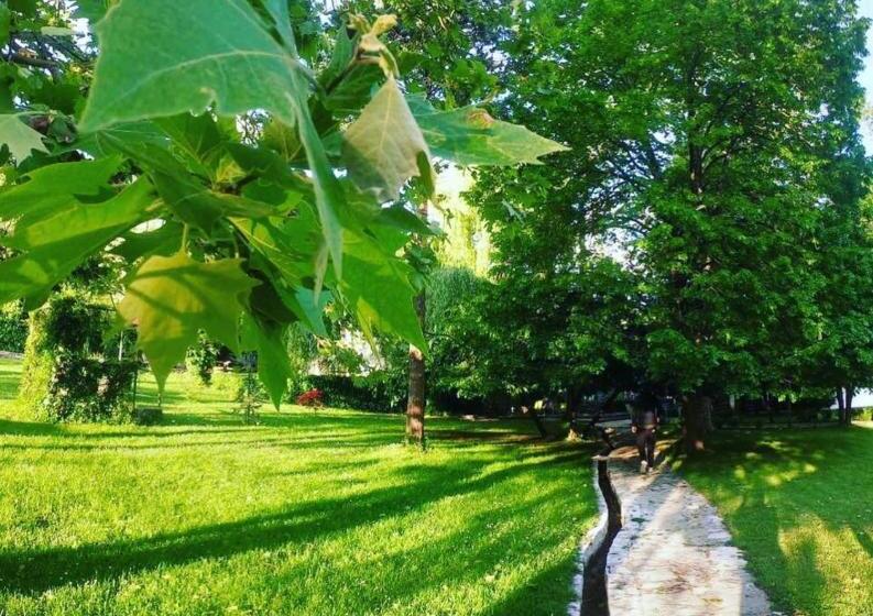 آپارتمان 1 خوابه, Jazina