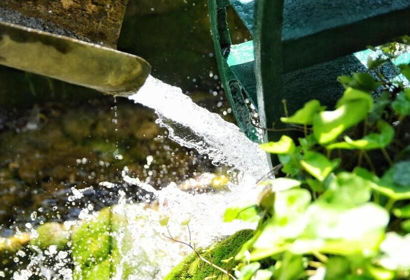 اتاق استاندارد با بالکن, Jazina