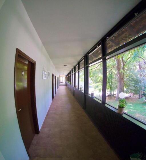 اتاق استاندارد, Jazina