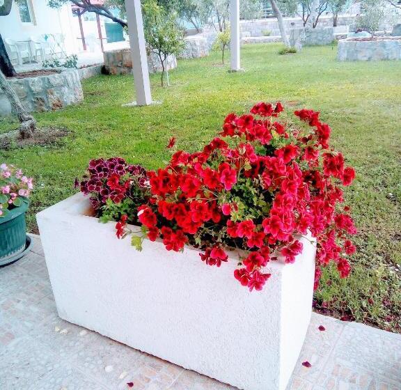 آپارتمان 1 خوابه, Apartments Maxi Katić