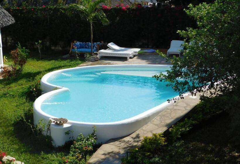 آپارتمان 1 خوابه با تراس, Dama Villa