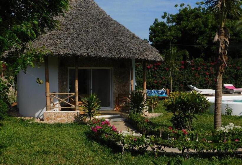 اتاق لوکس, Dama Villa