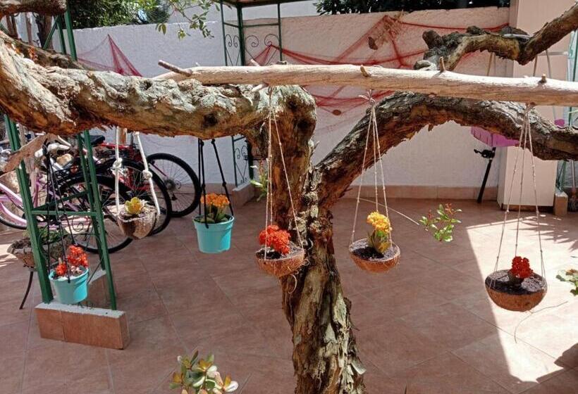 Standard Room, B&b Lety