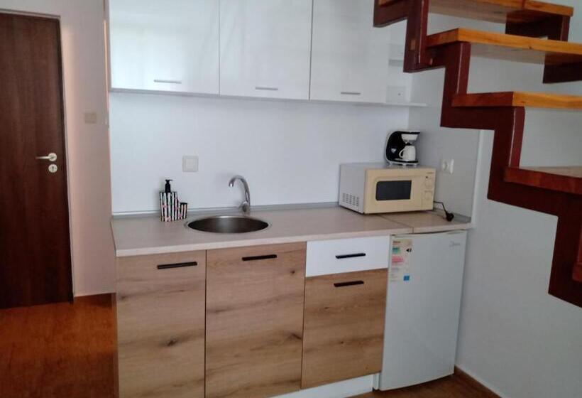 スタンダードスタジオ, Guest House аnestievi